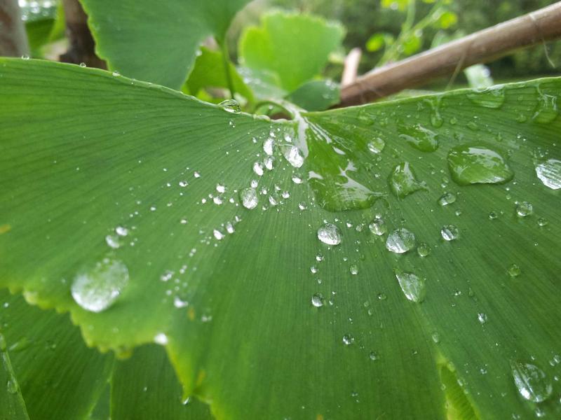 红楼梦魇<br>qyf5seag.cn 太虚幻境判词